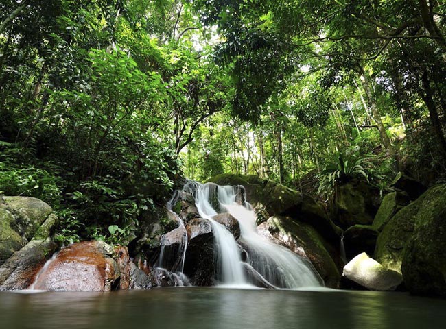 den malaysia vao mua he, dung quen bo qua 10 dia diem view cuc dep nay hinh anh 10